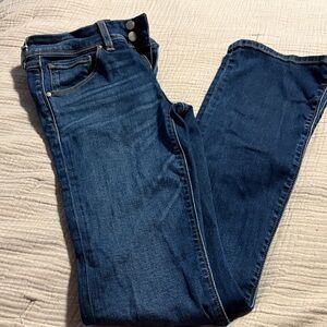 Hudson Jeans Dark Blue Skinny Jeans
